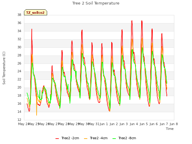 plot of Tree 2 Soil Temperature