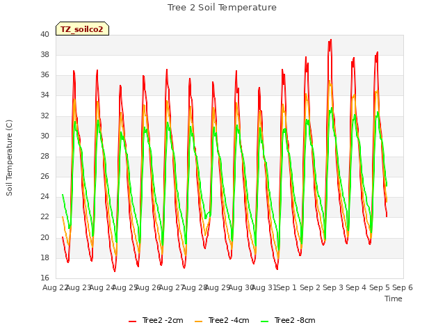 plot of Tree 2 Soil Temperature