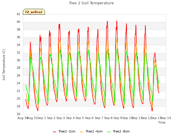 plot of Tree 2 Soil Temperature