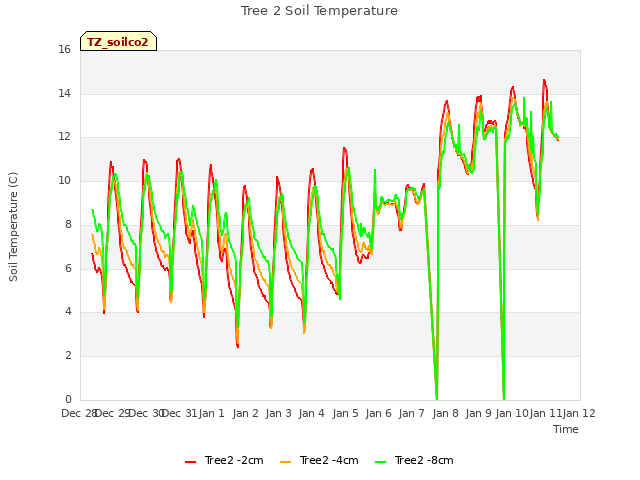 plot of Tree 2 Soil Temperature