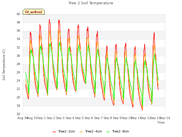 plot of Tree 2 Soil Temperature