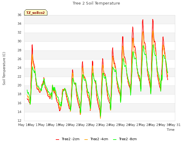 plot of Tree 2 Soil Temperature