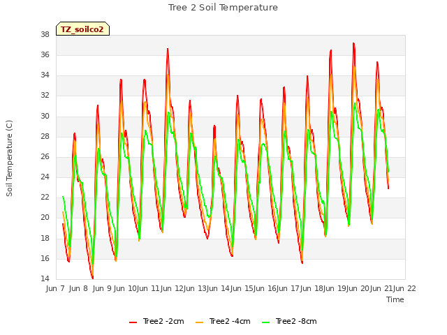 plot of Tree 2 Soil Temperature