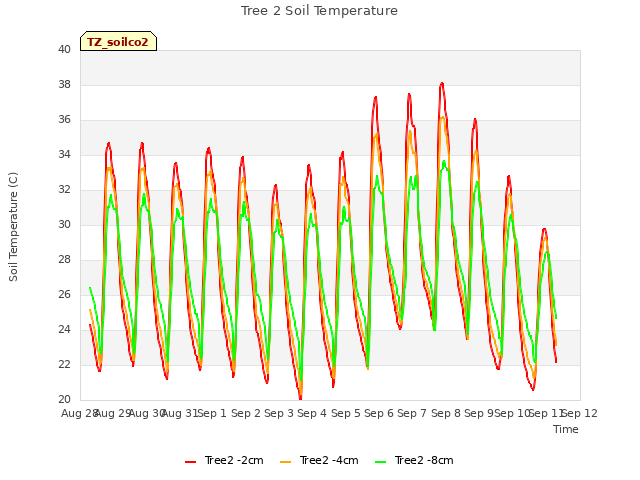 plot of Tree 2 Soil Temperature