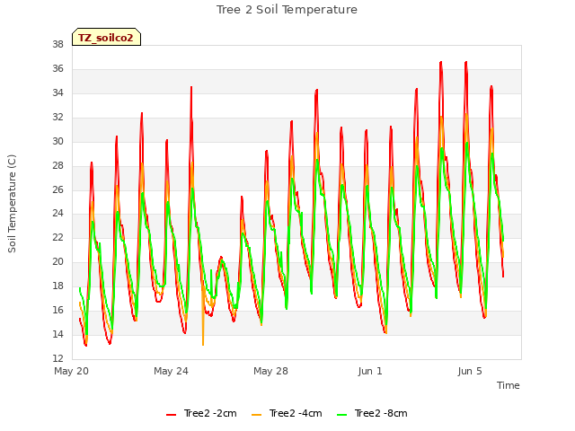 Explore the graph:Tree 2 Soil Temperature in a new window